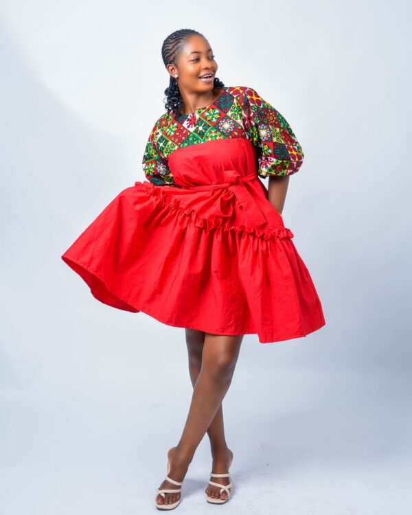 Sholly Dress - Image 6